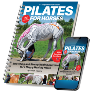 Pilates for Horses - a book by Gillian Higgins