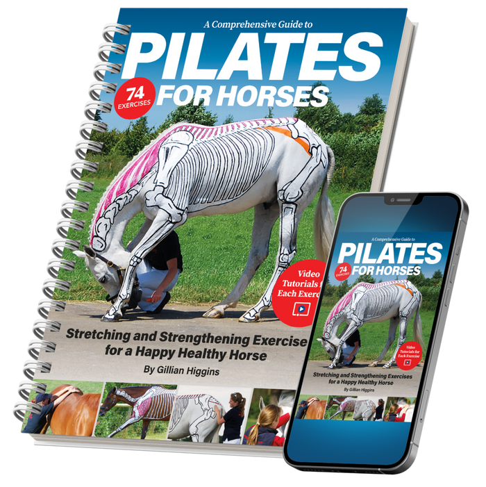 Now you can learn ‘Pilates for Horses’ with Horses Inside Out